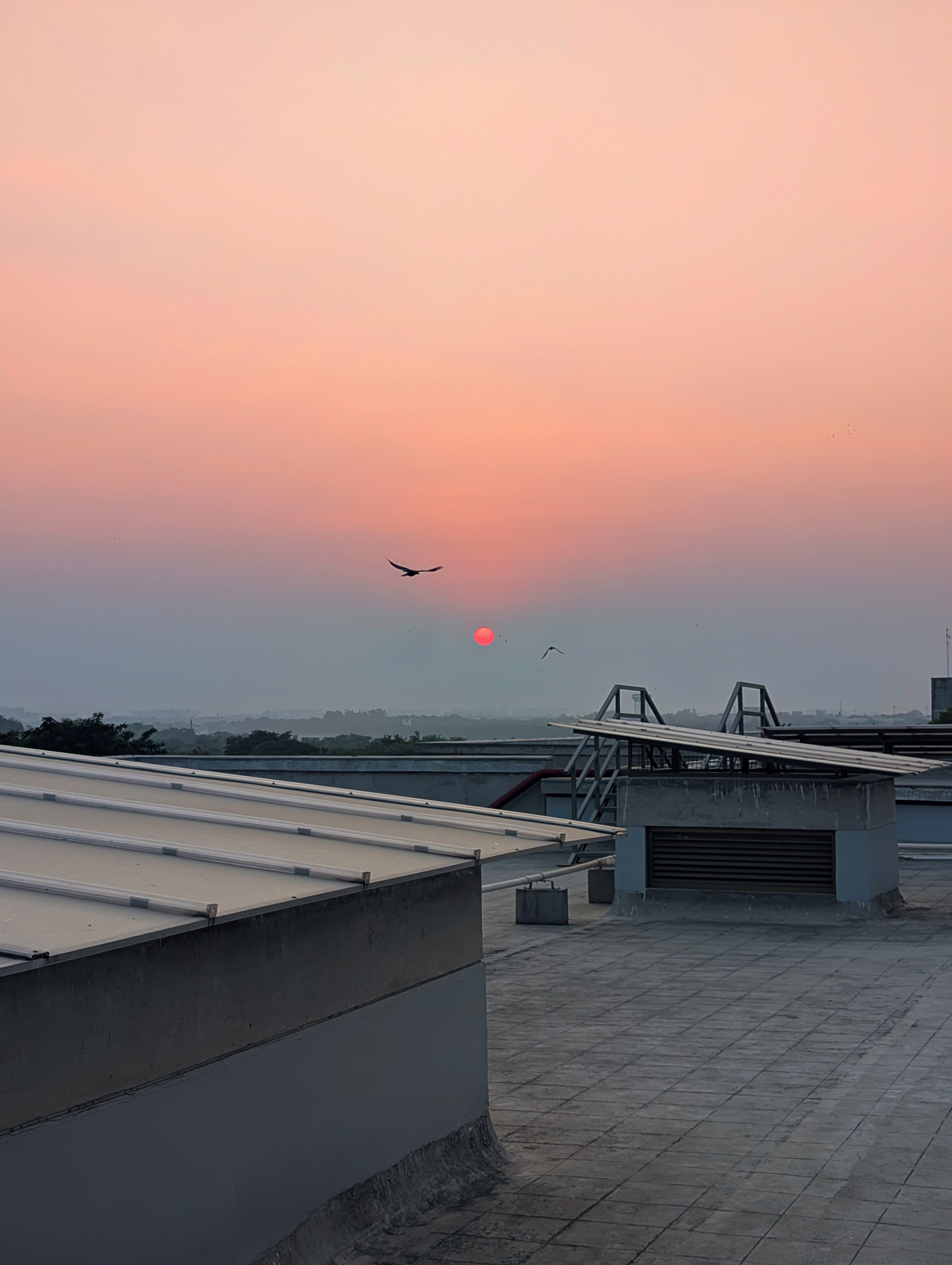 Sunset3
